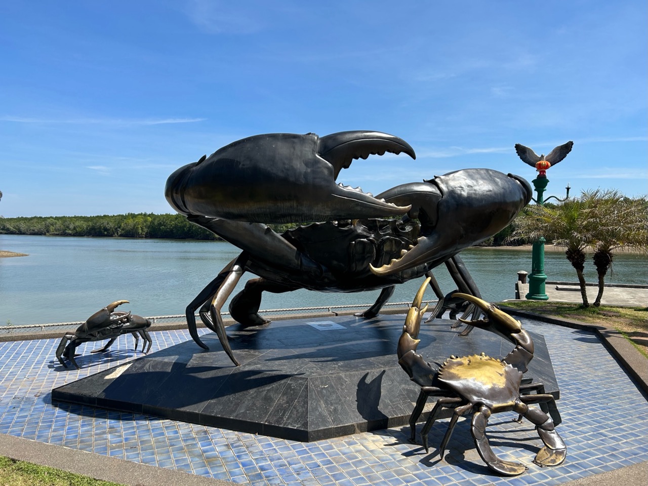the mud crabs of Krabi